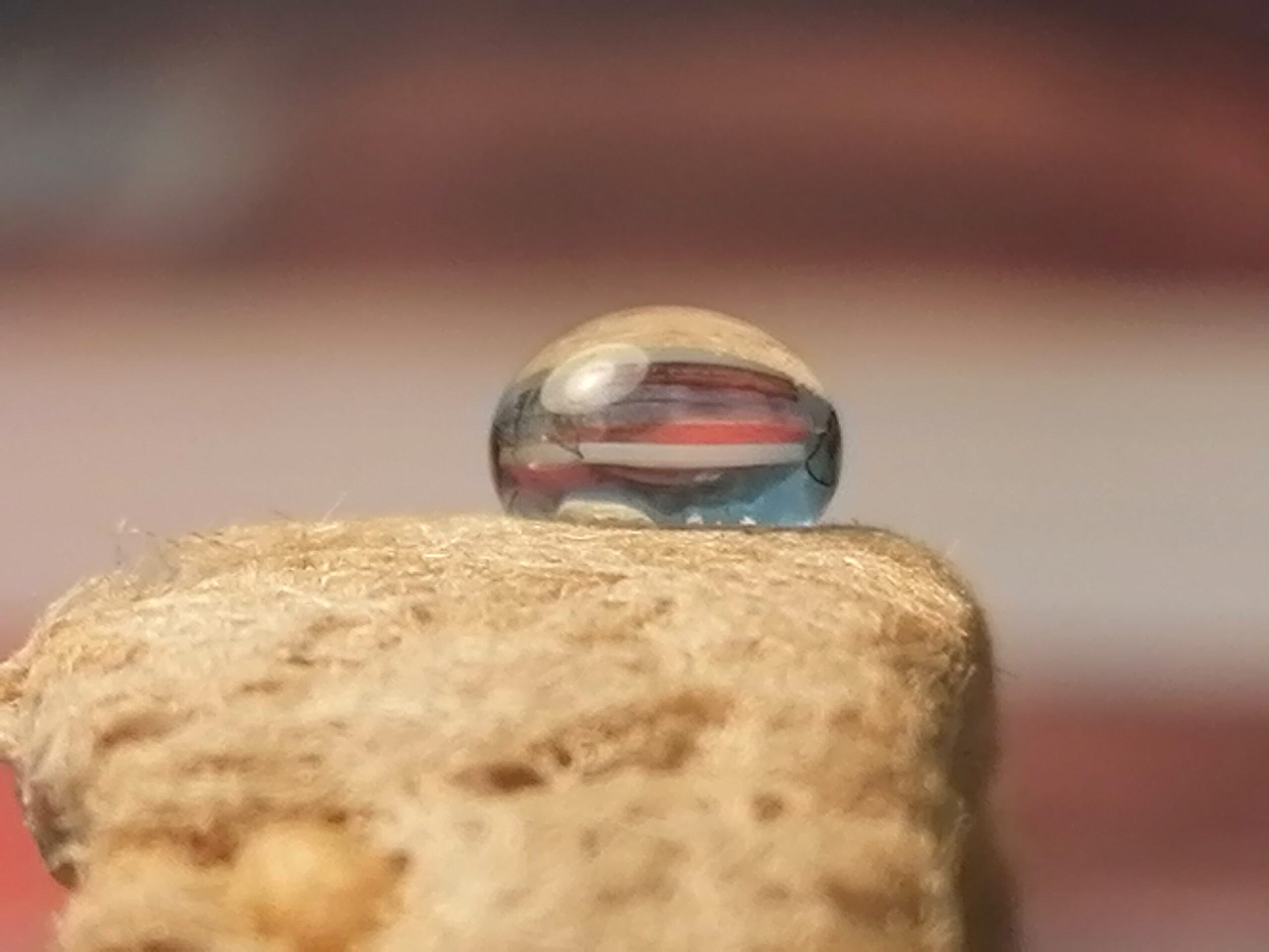 We modify surface to absorb only fuel, but not water