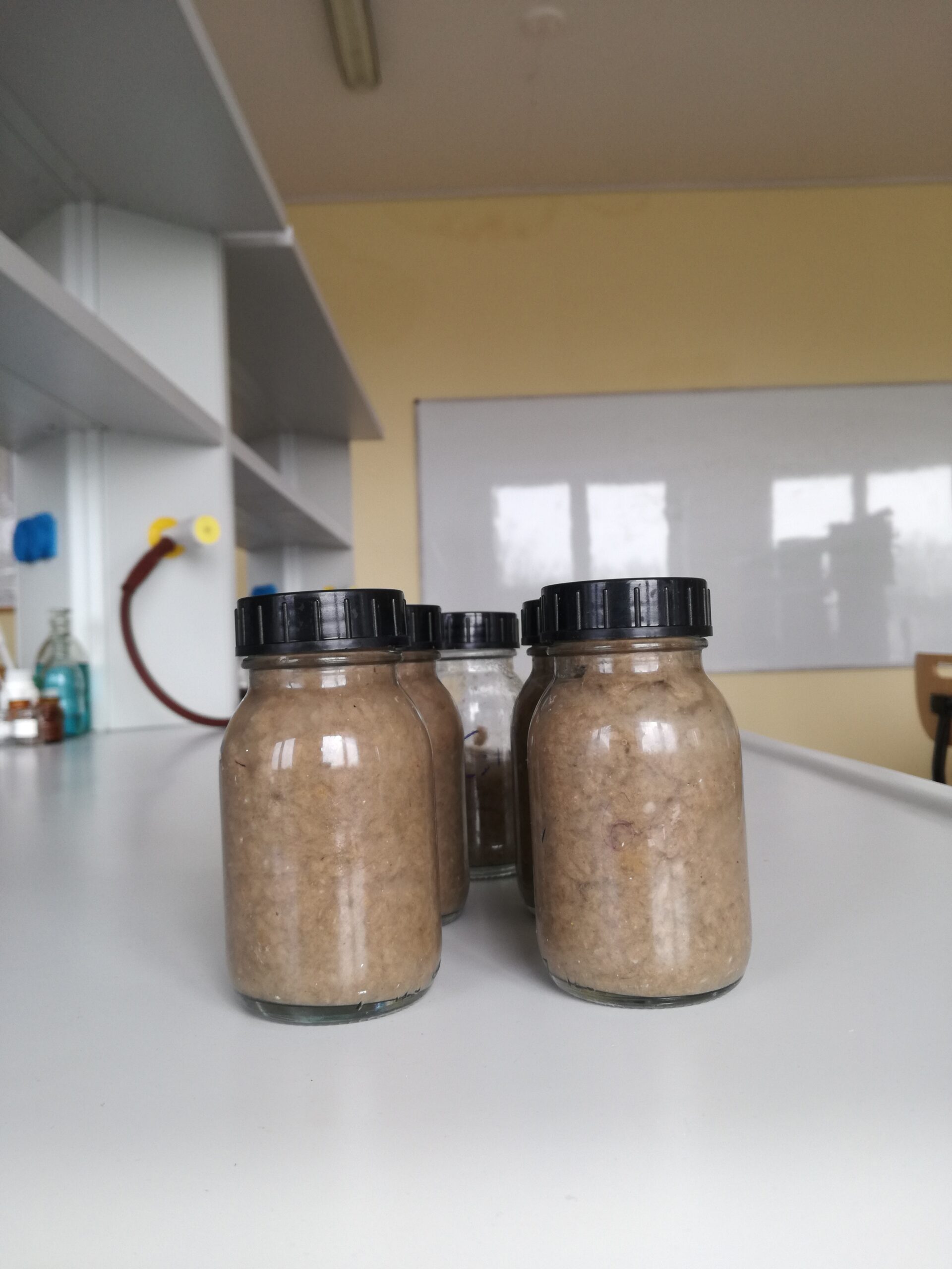 We take waste paper, mix it with the water to reach uniform distribution