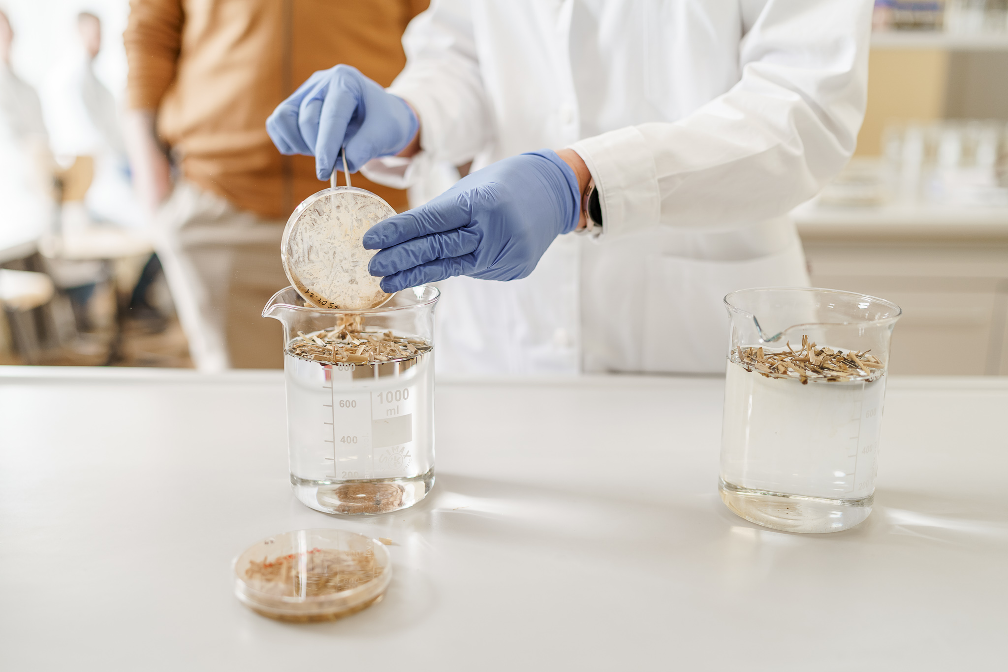 We integrate oil degrading microorganisms on hydrophobized straw