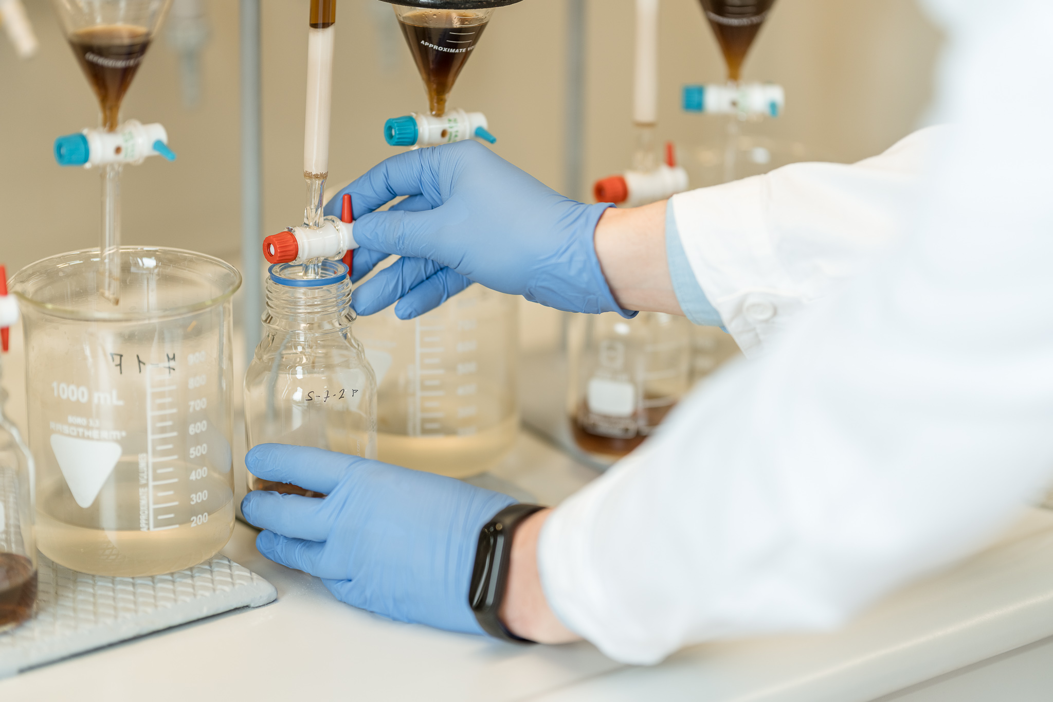 We integrate special microorganisms inside the aerogel to make the biodegradation process even faster